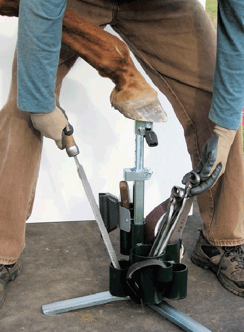 Evolve Your Hoof Care • Help your horse have the most durable hooves