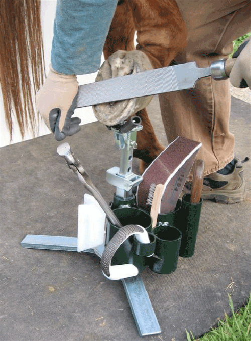 Evolve Your Hoof Care • Help your horse have the most durable hooves